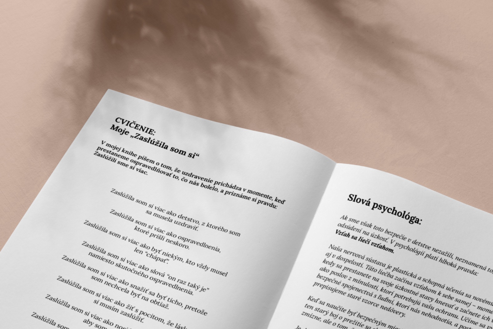 Začnem od seba workbook Michaela Králiková